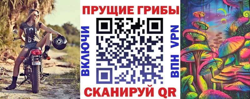 Галлюциногенные грибы Psilocybine cubensis  Нолинск 